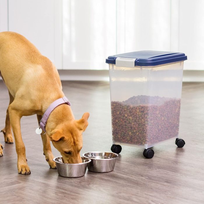 Food Storage Containers: Keeping Global Kitchens Organized
