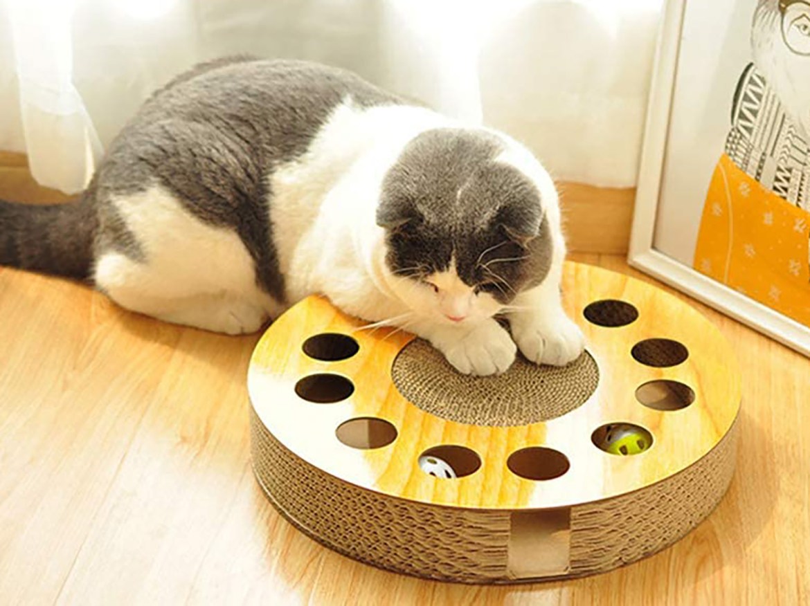 Pet Toys: Keeping Companions Entertained Worldwide